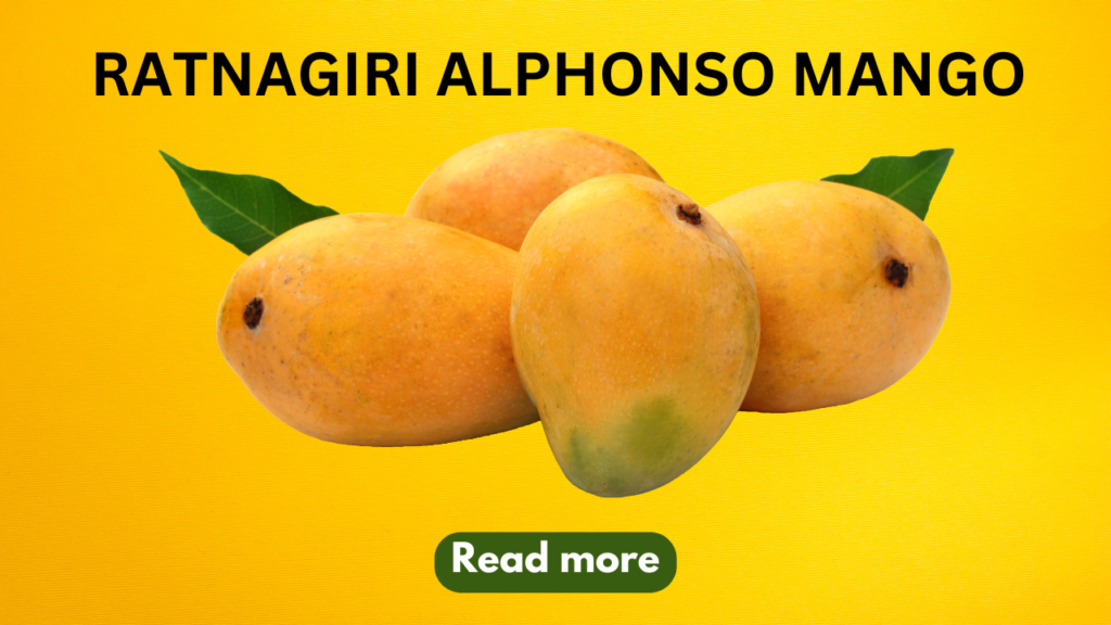 Discover the King of Mangoes: Ratnagiri Alphonso Aam Benefits and Recipes