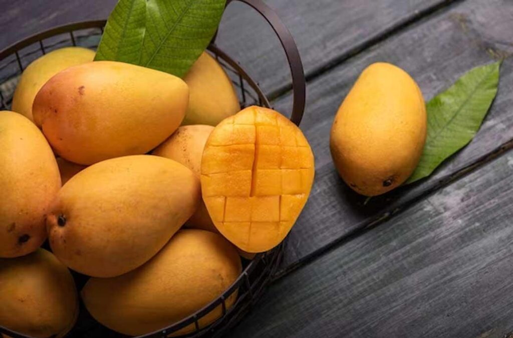 Experience Ratnagiri alphonso- Best online Mango Fruit